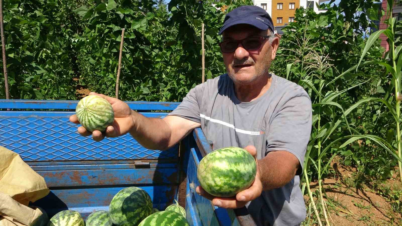 Yalıncak karpuzunu kuraklık vurdu

