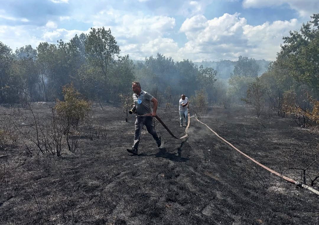 İğneada’da çıkan orman yangını söndürüldü