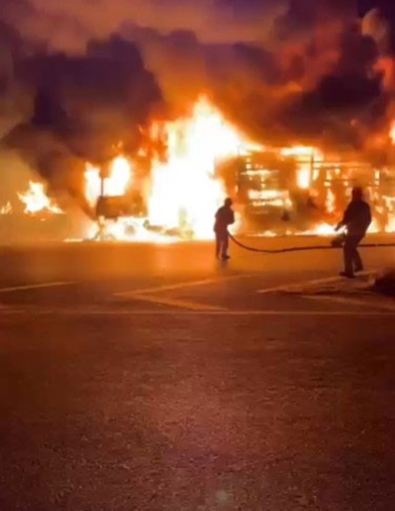 Çamaşır makinesi yüklü tır alev topuna döndü