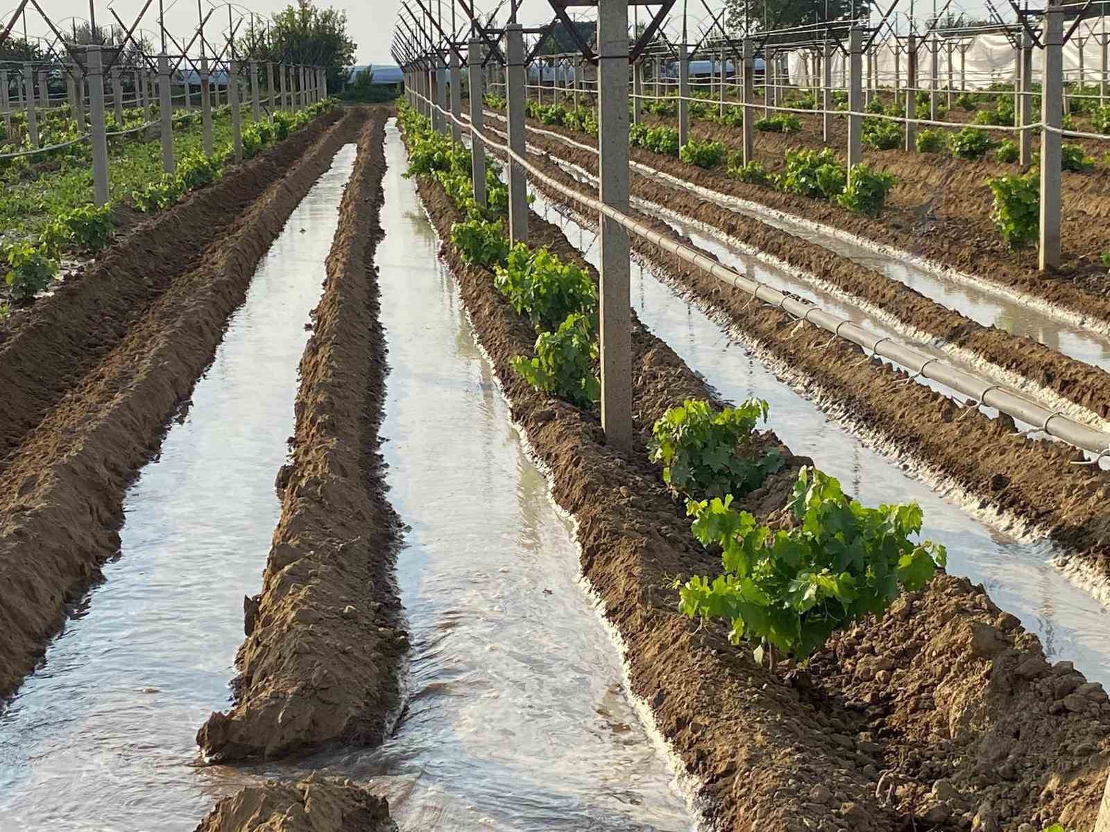 Kışlık sebzeler toprakla buluşmaya başladı

