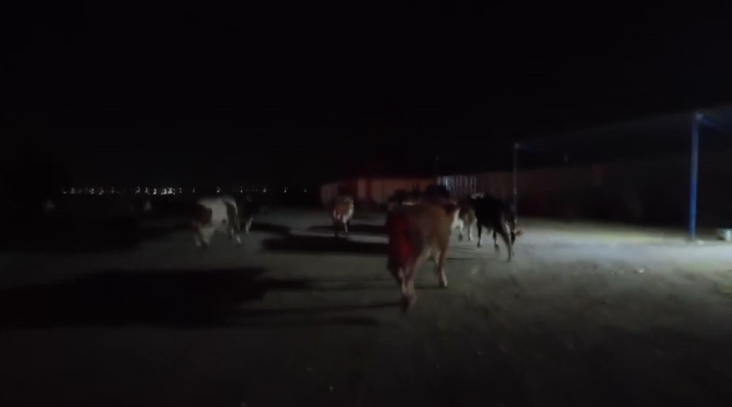 Yangını gören motosikletlinin endişesi aksiyon kamerası ile kayıt altına alındı