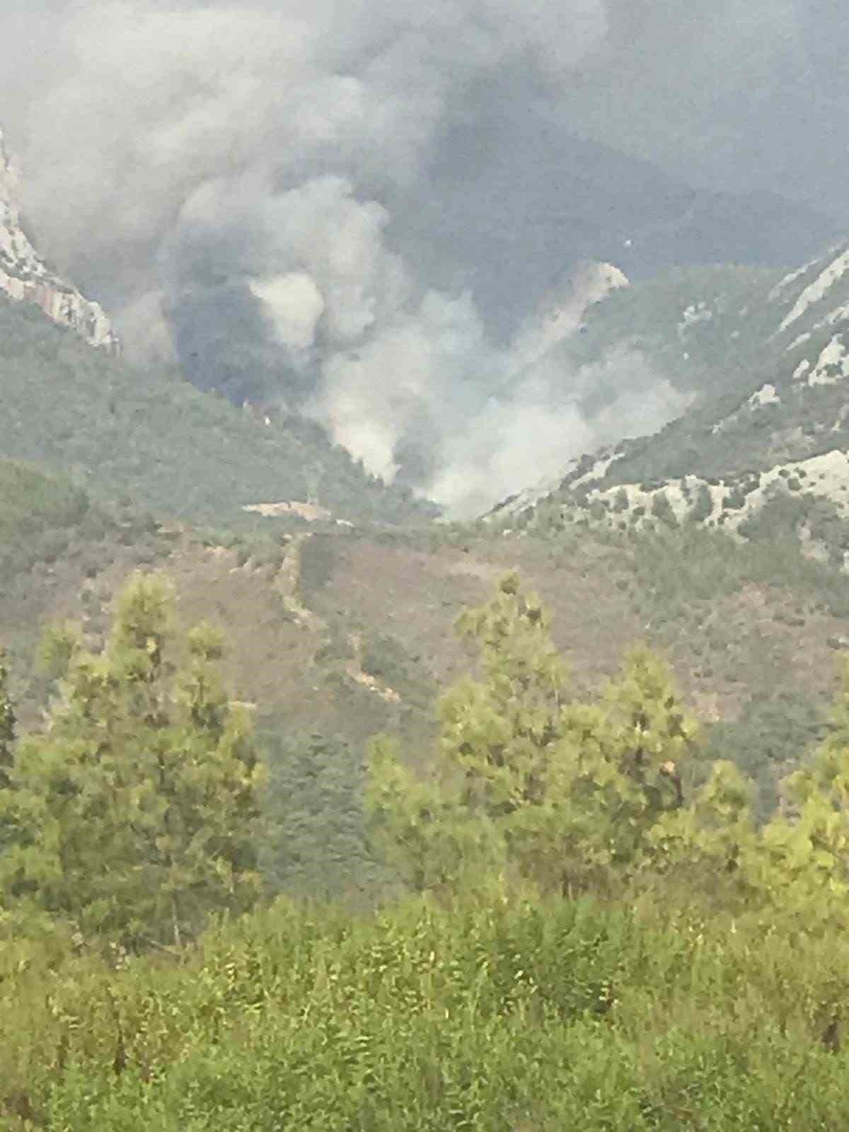 Mersin’de ikinci orman yangını