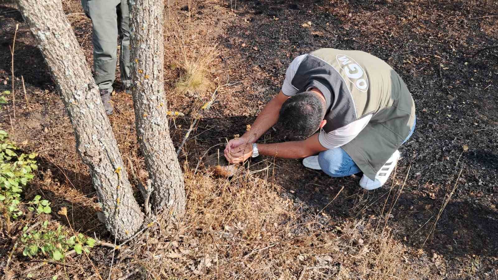 Bilecik’te yangına hızlı müdahale felaketi önledi