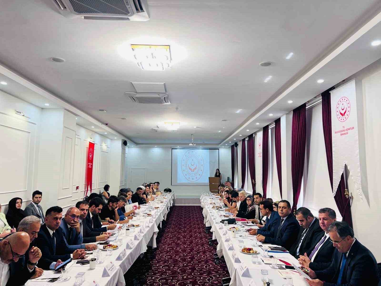 Van&rsquo;da &lsquo;Kadın Hizmetleri B&ouml;lgesel İstişare Toplantısı&rsquo; yapıldı
