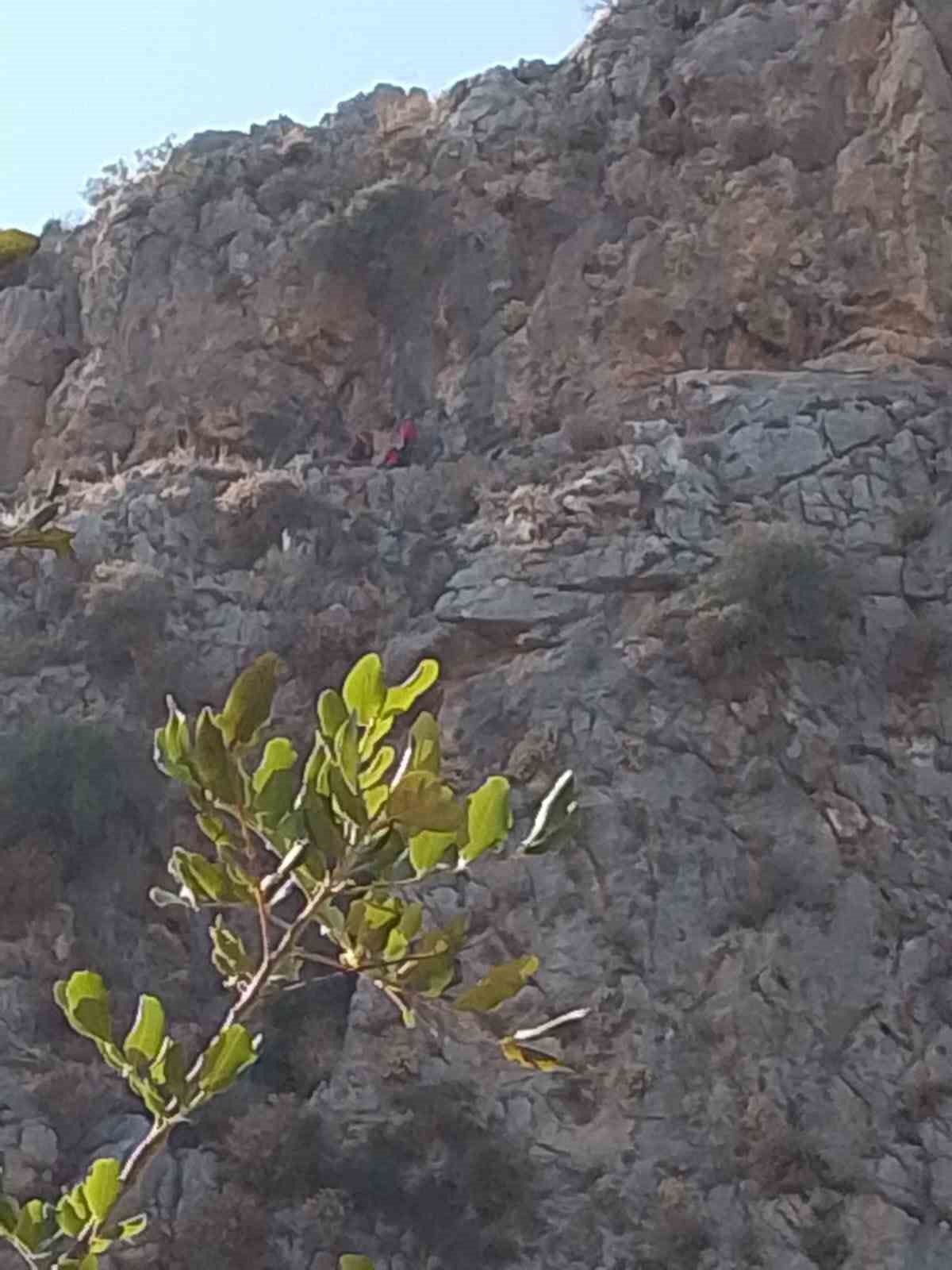 Serik’te uçurumda 3 gündür mahsur kalan keçi, ekipler tarafından kurtarıldı