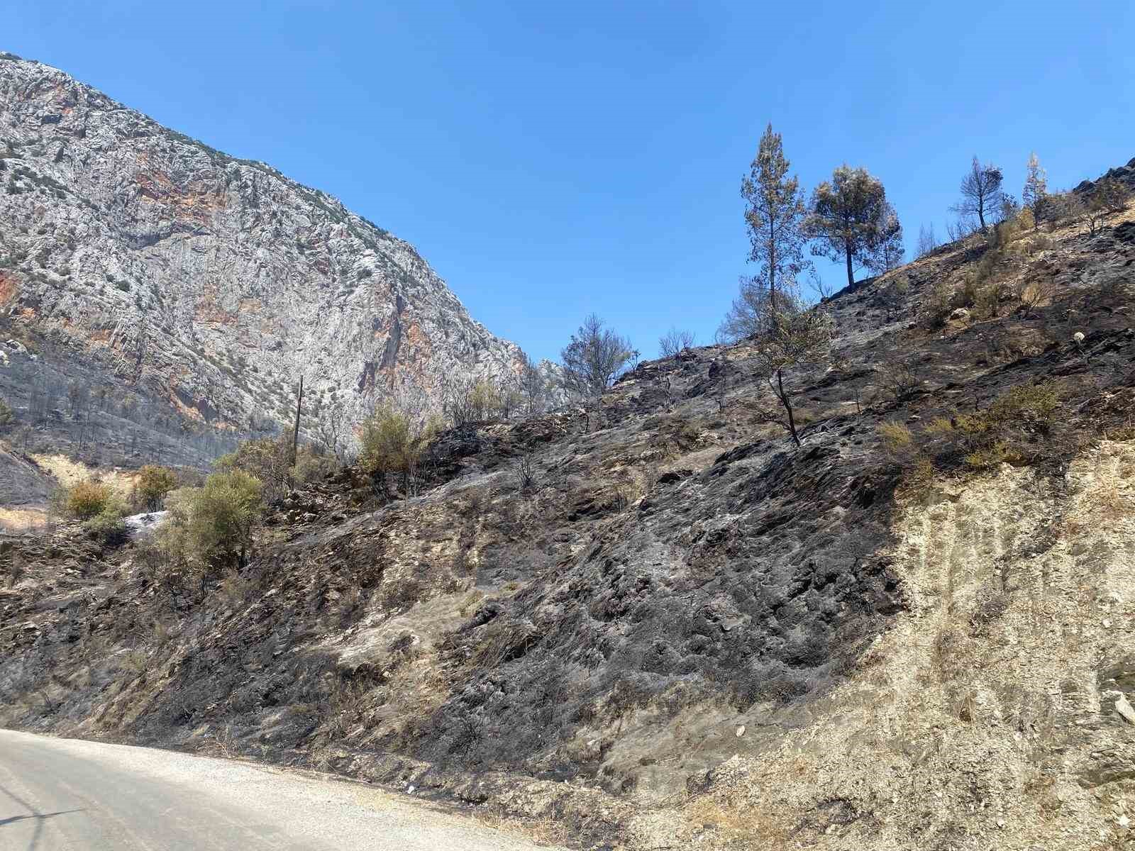 Mersin Anamur’daki orman yangını büyük ölçüde kontrol altına alındı