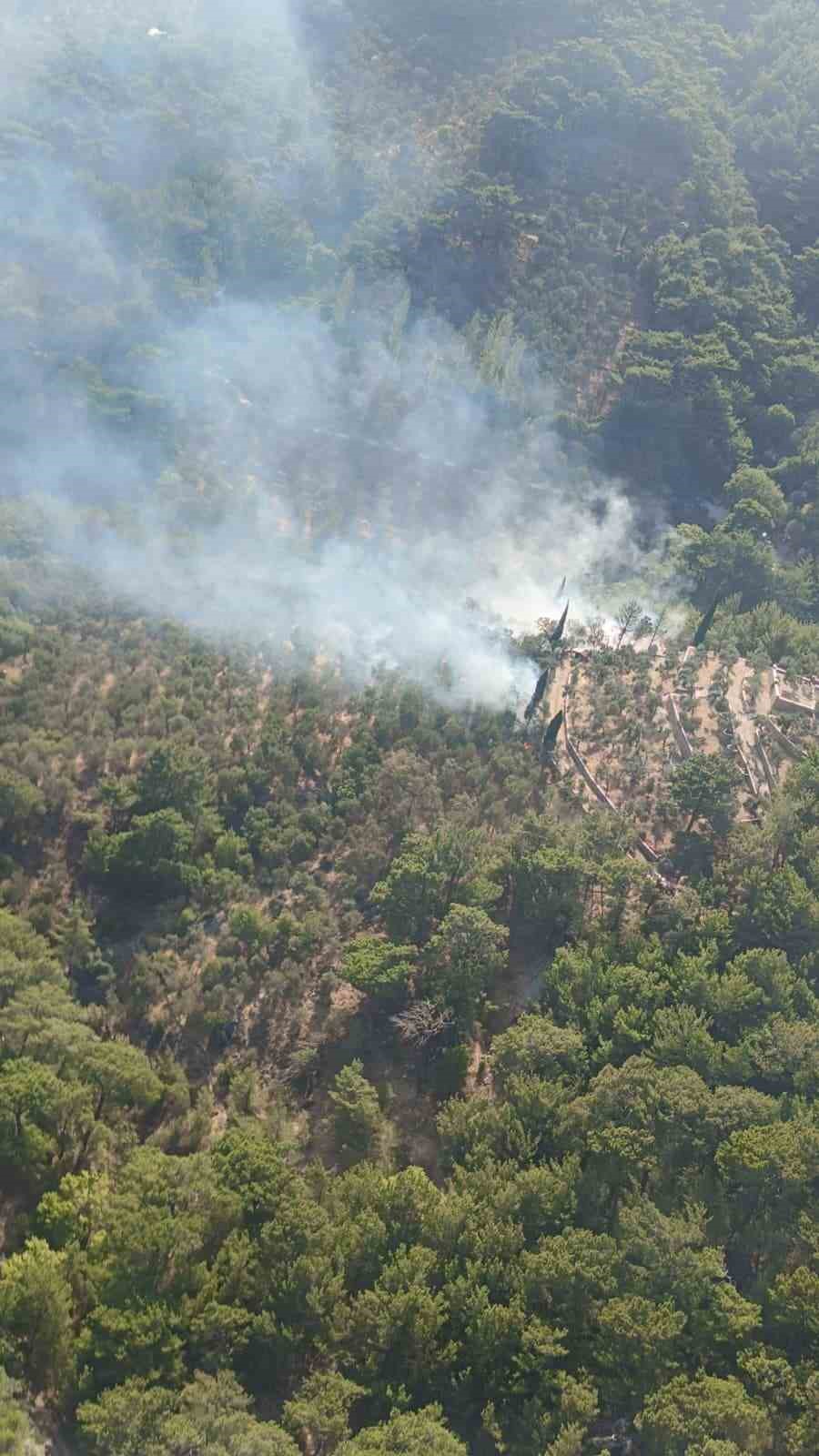 Kazdağları Milli Parkı&rsquo;nda &ccedil;ıkan yangın kısa s&uuml;rede s&ouml;nd&uuml;r&uuml;ld&uuml;
