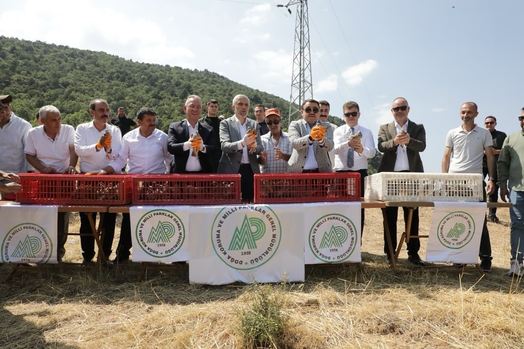 Kütahya’da 300 keklik doğaya salındı
