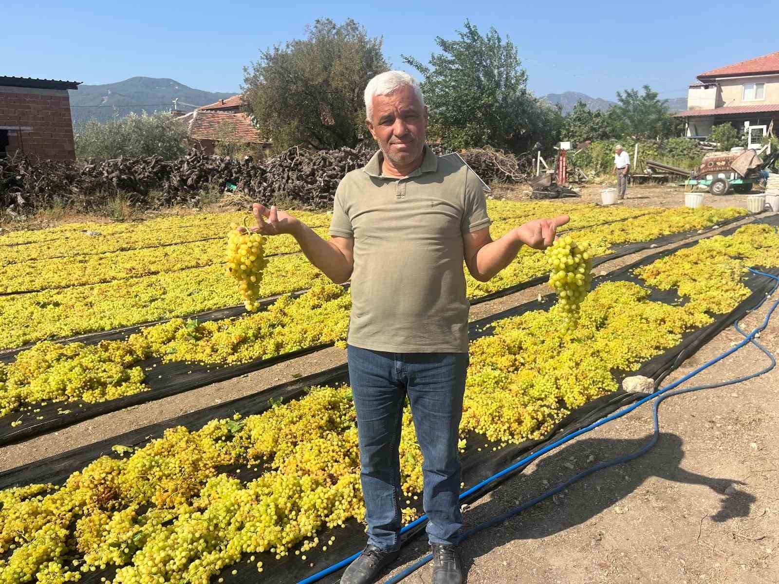 Üzümde fiyat belirsizliği hem üreticiyi hem de çalışanları tedirgin ediyor
