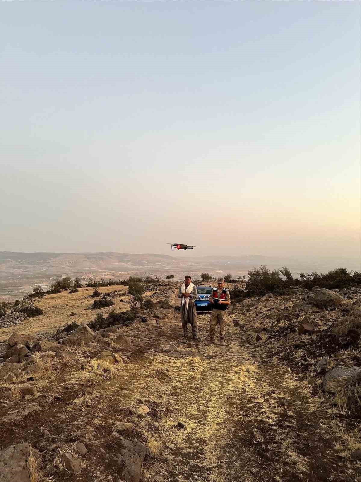 Kilis&rsquo;te kaybolan 26 k&uuml;&ccedil;&uuml;kbaş hayvan bulundu
