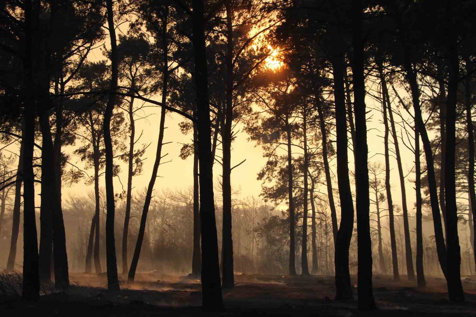 &Ccedil;anakkale&rsquo;de yanan orman alanlarında 2024-2025 av d&ouml;neminde avlanmak yasaklandı
