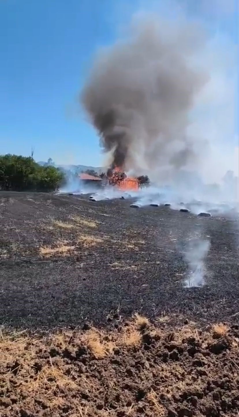 Bolu&rsquo;da alevler &ouml;n&uuml;ne gelen yapıyı k&uuml;le &ccedil;evirdi: 3 ev, 2 ahır, 2 samanlık yandı
