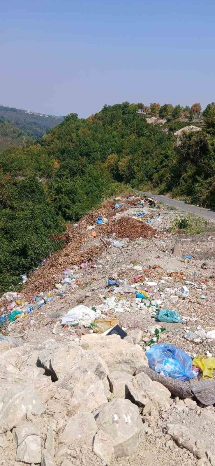 Alaplı’da yol kenarına bırakılan çöpler çevre kirliliğine yol açıyor
