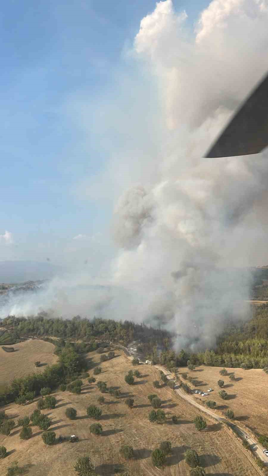 Adana&rsquo;da orman yangınına 6 helikopter ve 2 u&ccedil;akla m&uuml;dahale&nbsp;ediliyor
