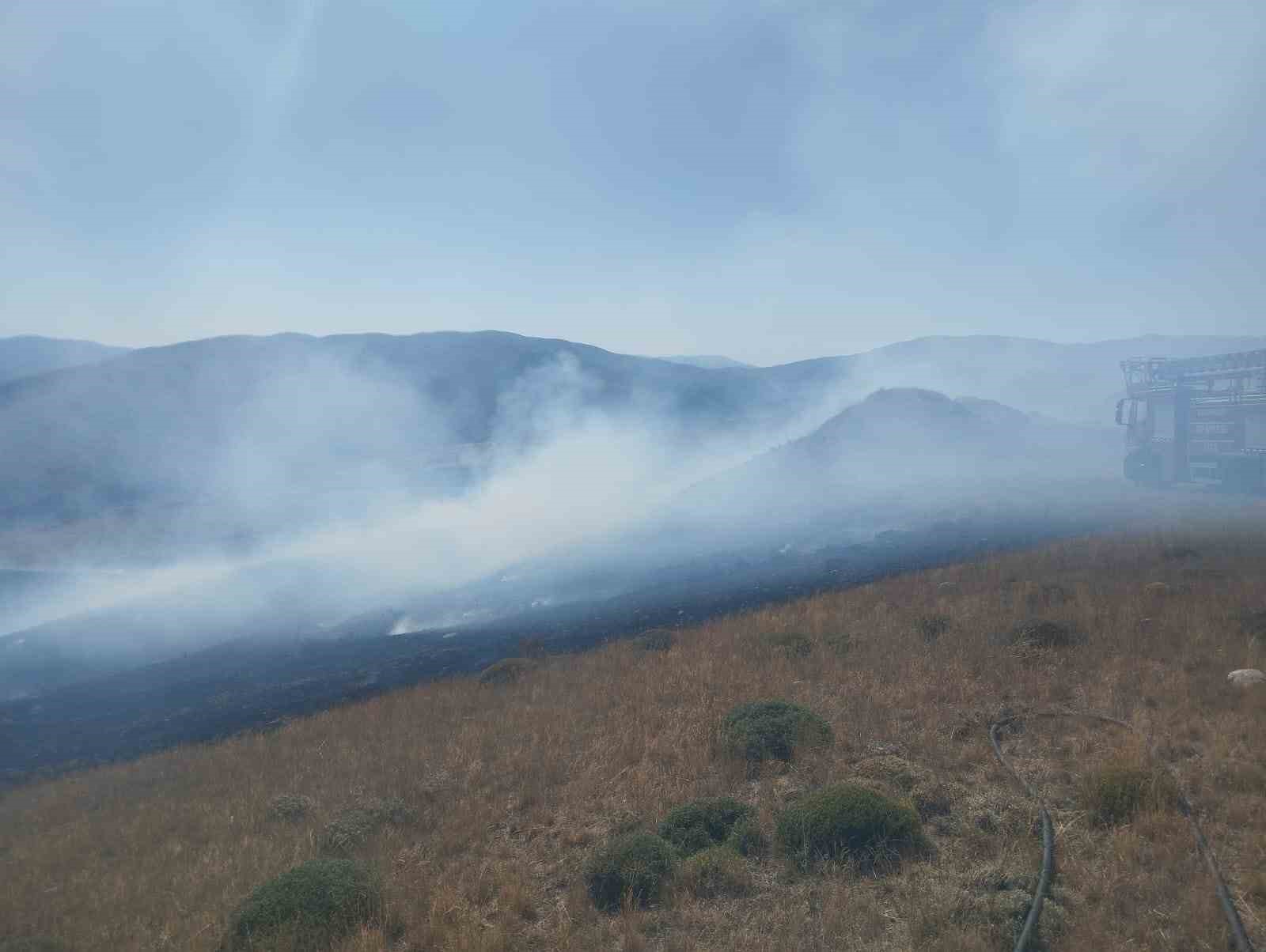 Ahmediye Geçidinde örtü yangını söndürüldü
