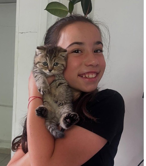 Bolu&rsquo;da 10 sahipsiz sokak hayvanı yeni yuvasına kavuştu
