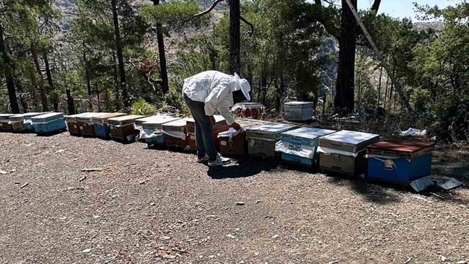 Muğla’da arılı kovan destekleme tespit çalışması yapıldı
