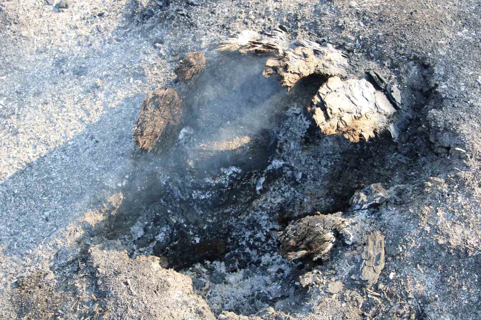 Yangından kaçan karaca görüntüleri kameralara yansıdı
