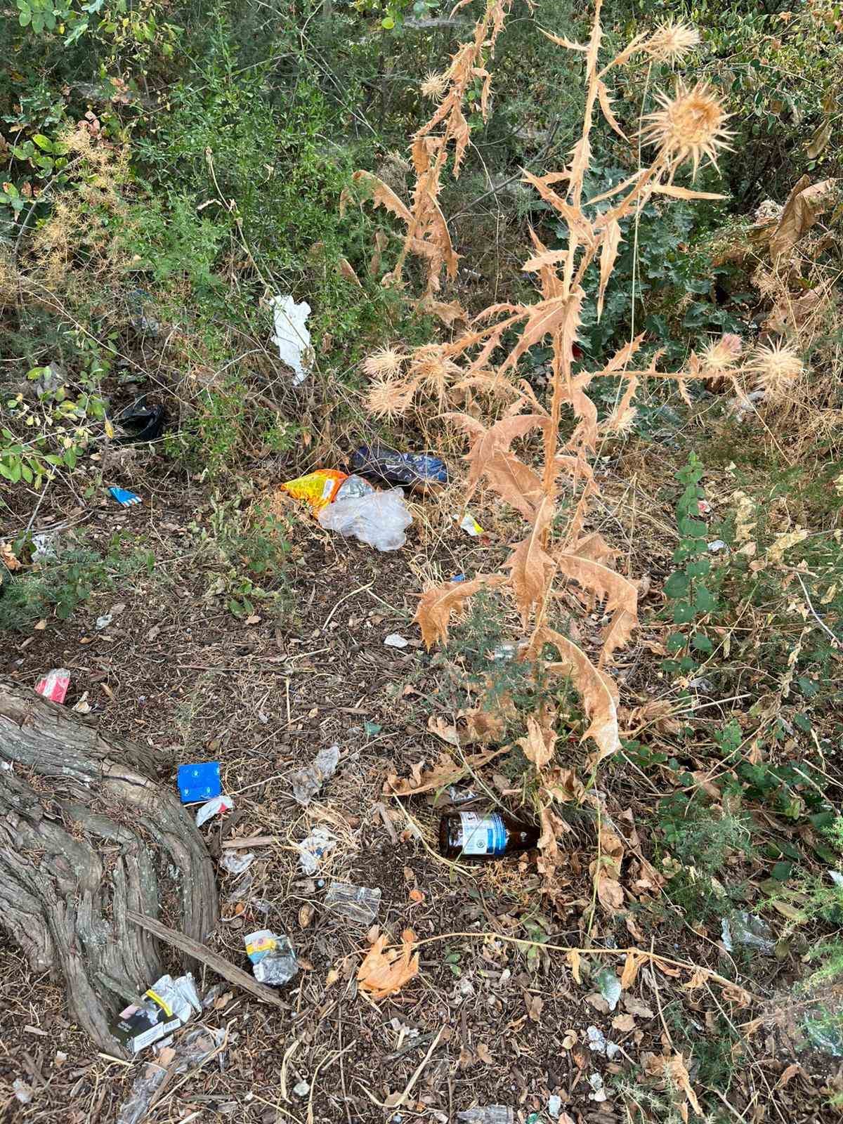 Abbaslık mevkii &ccedil;&ouml;pl&uuml;ğe d&ouml;nd&uuml;
