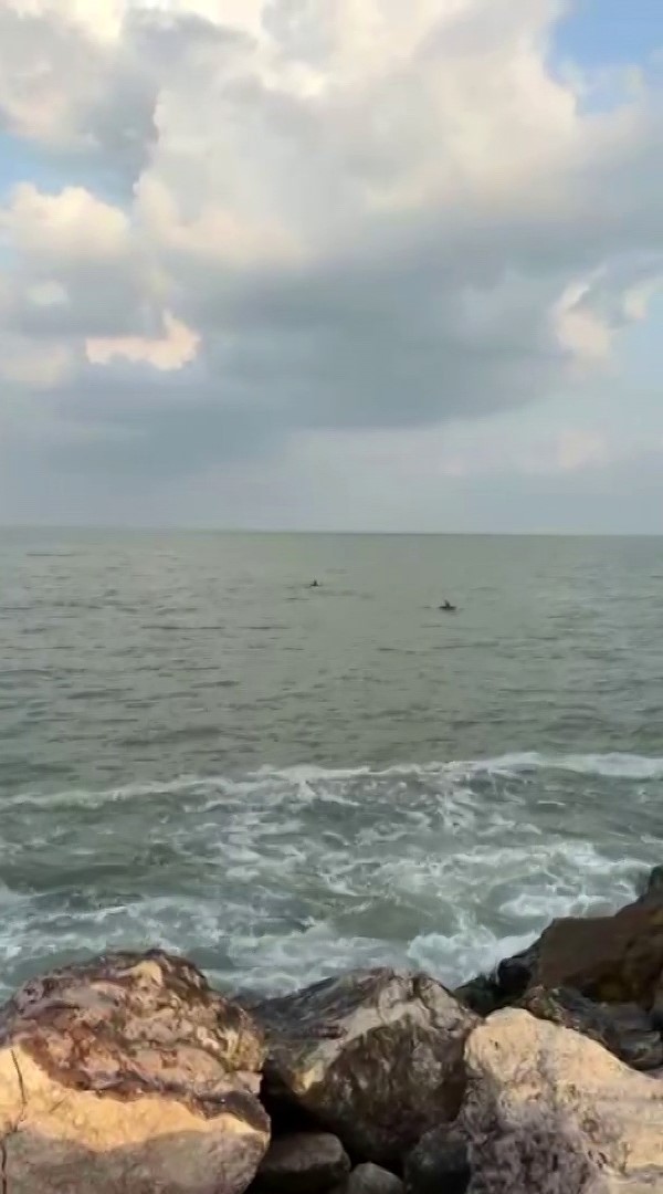 Karataş’ta yunuslar görüntülendi
