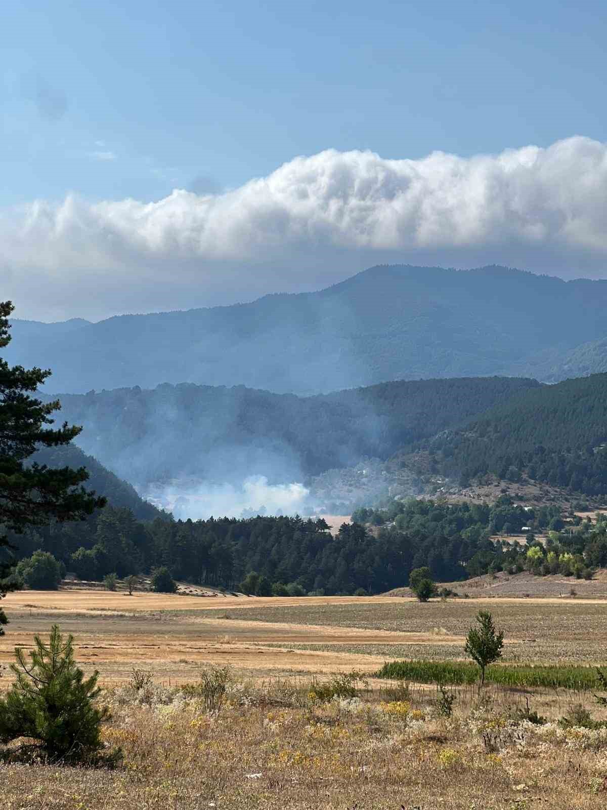 Bolu&rsquo;da ormanlık alanda &ccedil;ıkan yangın kontrol altına alındı
