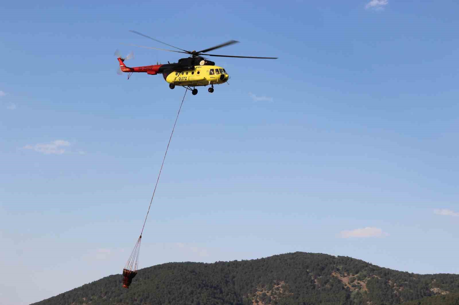 &Ccedil;orum&rsquo;daki orman yangını kontrol altına alındı
