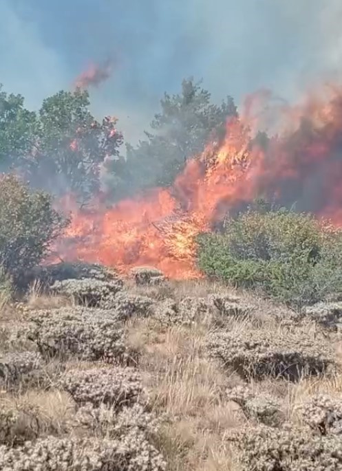 G&uuml;m&uuml;şhane&rsquo;de &ccedil;obanın yaktığı ateş yangına sebep oldu
