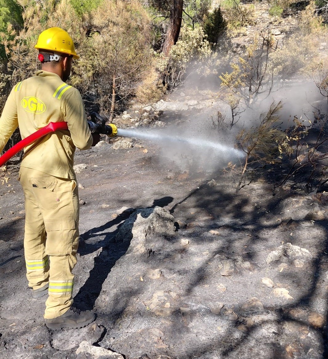 Orman yangınından geriye kalan acı manzara: 15 bin dönümden fazla alan küle döndü
