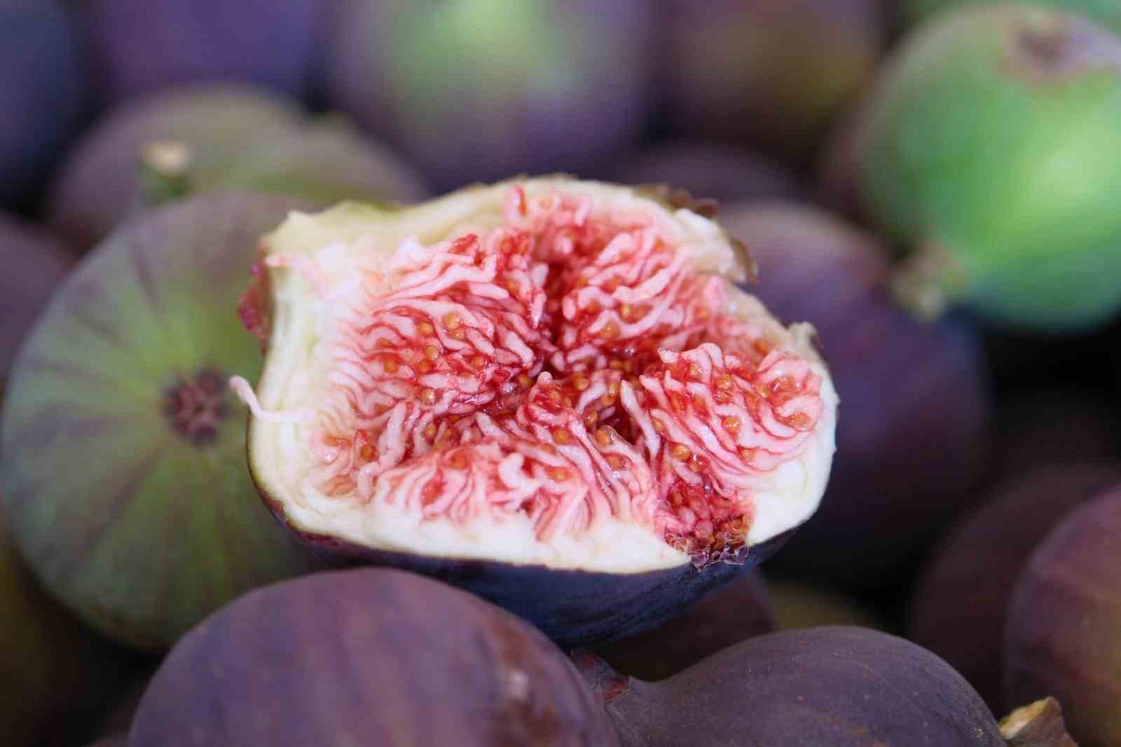 Kraliçe incirinde hasat ve ihracat başladı
