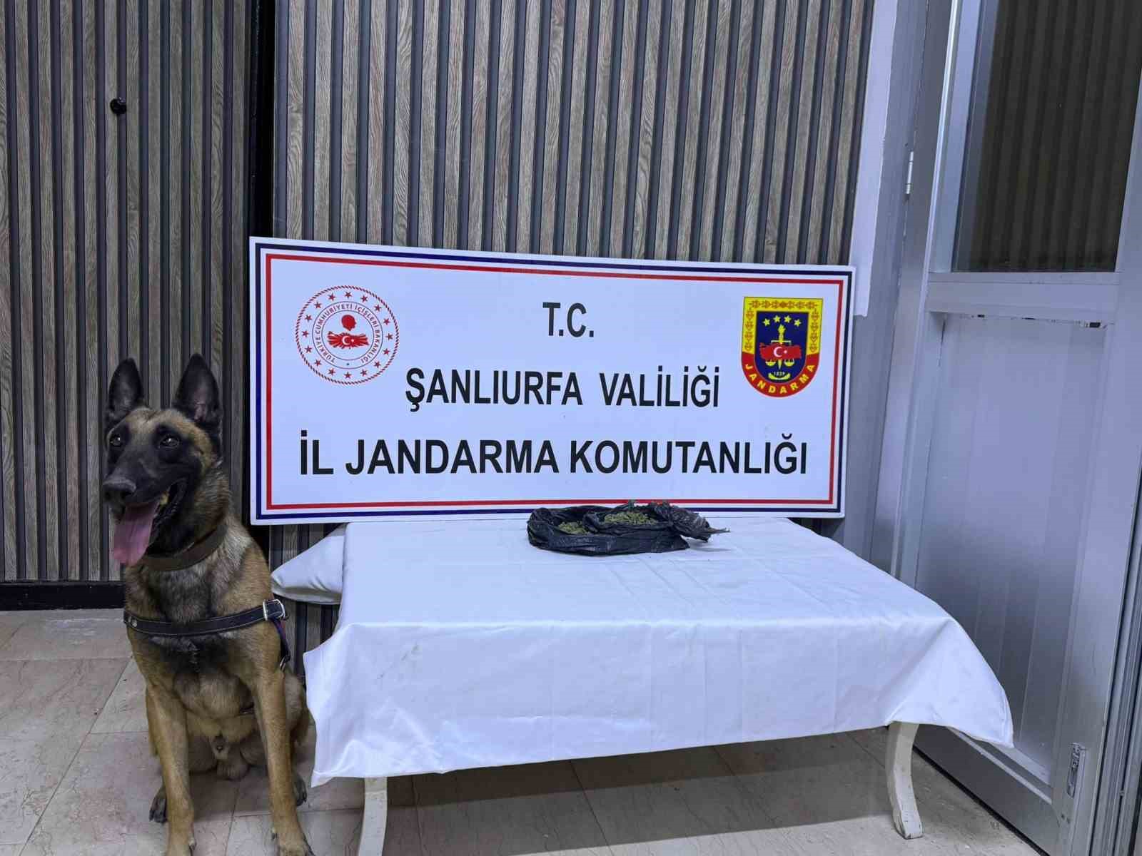 Şanlıurfa&rsquo;da uyuşturucu operasyonu: 6 g&ouml;zaltı
