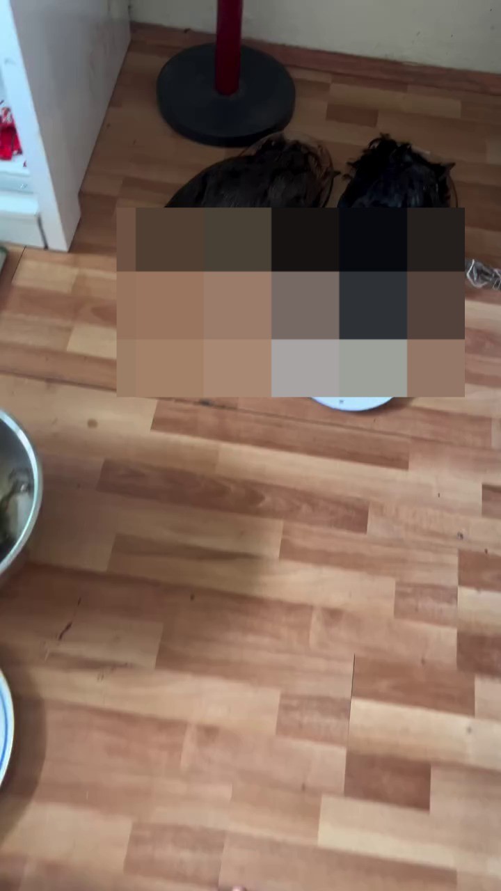 K&uuml;&ccedil;&uuml;kbaş ve b&uuml;y&uuml;kbaş hayvanları katleden şamanizm &uuml;yesi paylaşım yaptı, g&ouml;zaltına alındı
