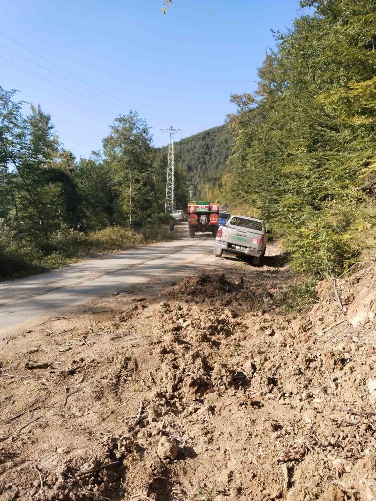 Türkeli’de ormanlık alanda örtü yangını