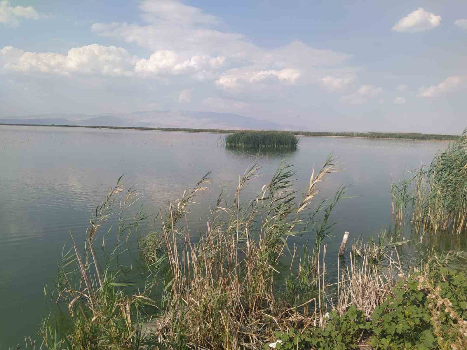 Eber ve Akşehir göllerine eylem planına yönelik çalışmalar sürüyor
