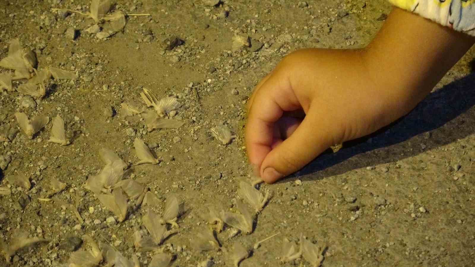 ’Bir günlükler’in ölüm uçuşu geç başladı
