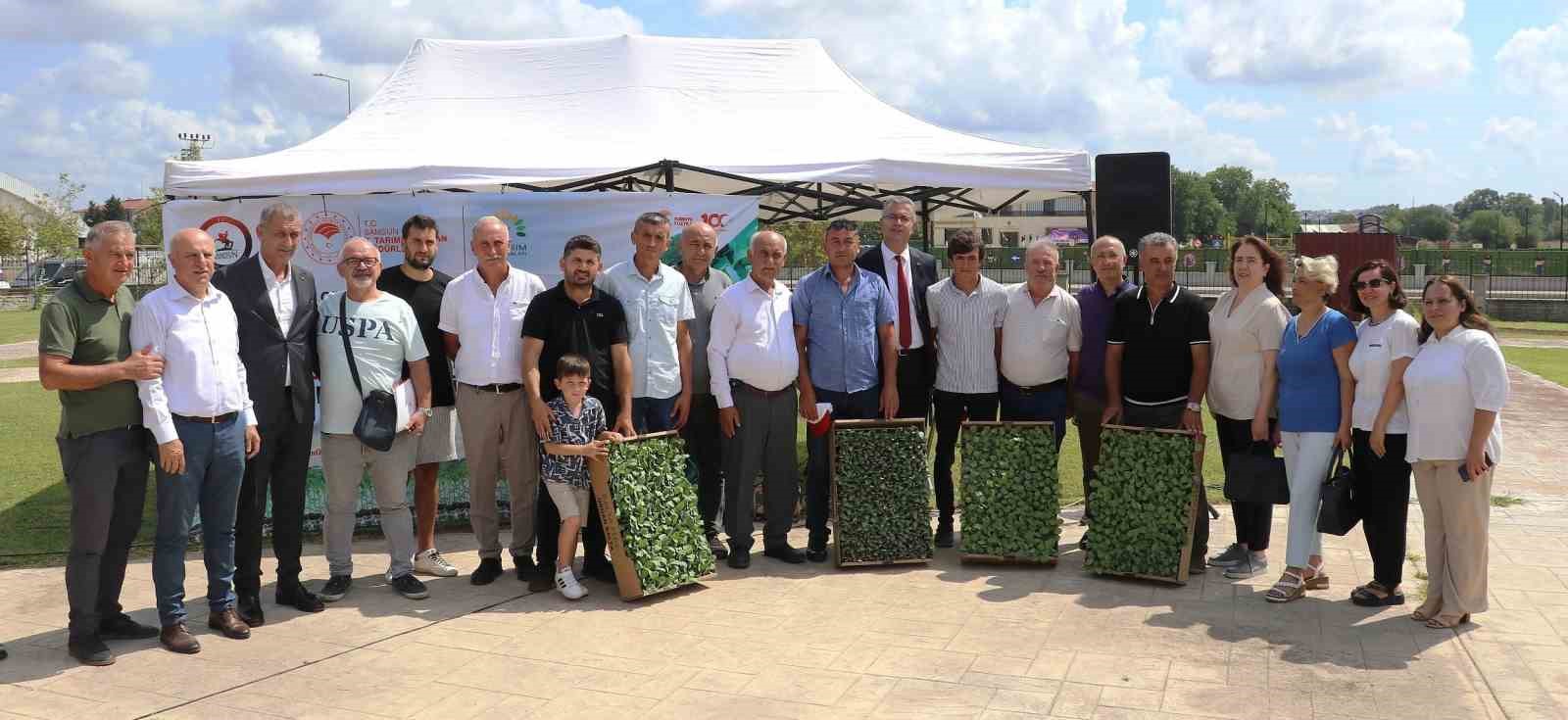 Bafra Ovası&rsquo;nda ihracata uygun sebze &uuml;retilecek
