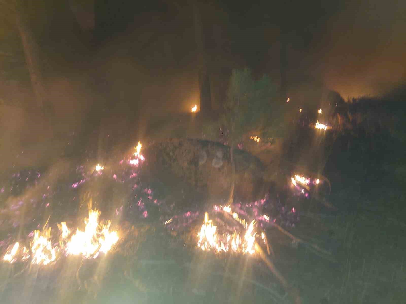 Yatağan&rsquo;da orman yangını
