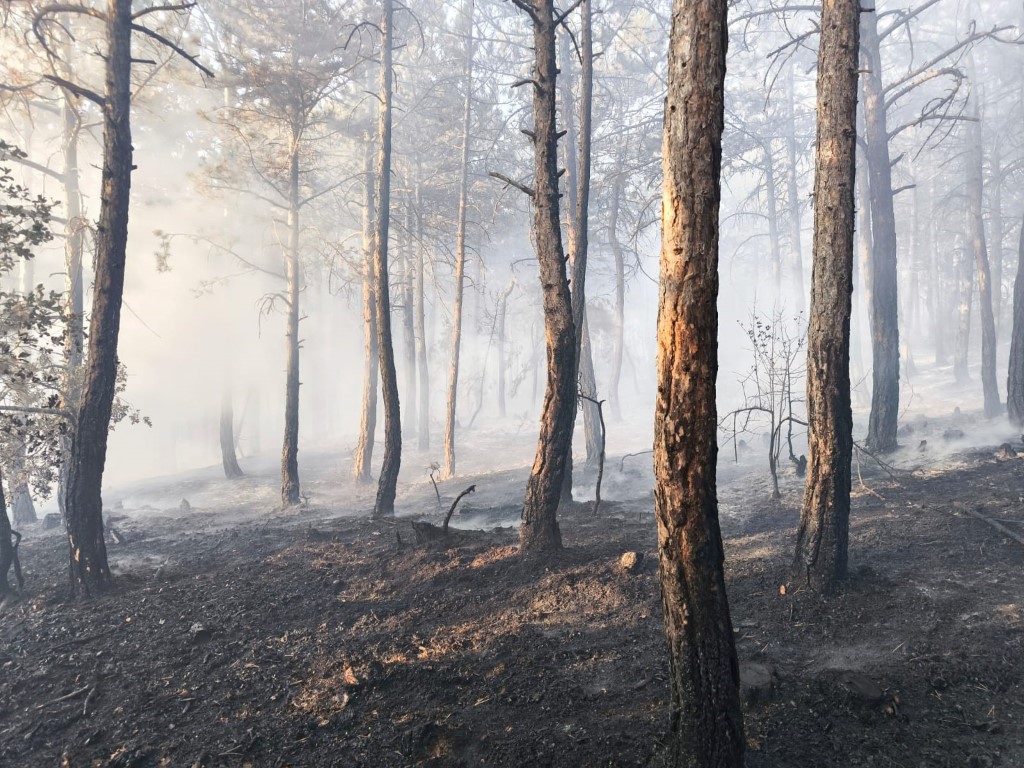 Bolu&rsquo;da k&uuml;le d&ouml;nen 20 hektar ormanda, soğutma &ccedil;alışması s&uuml;r&uuml;yor