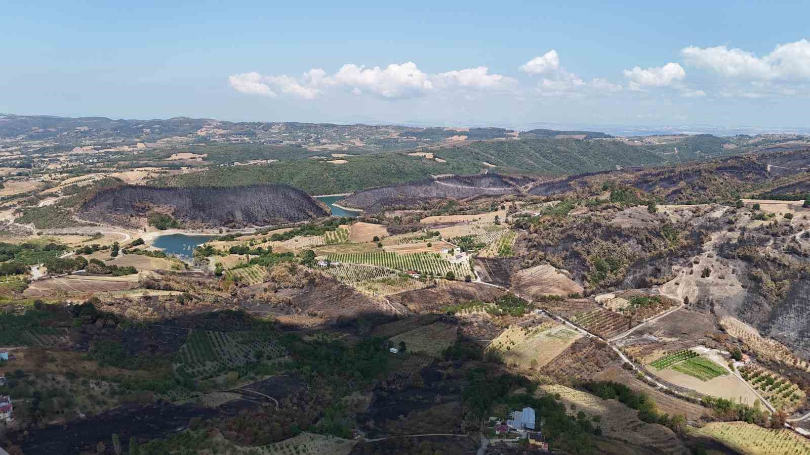 Kocaeli’de yangın sonrası yürek burkan manzara
