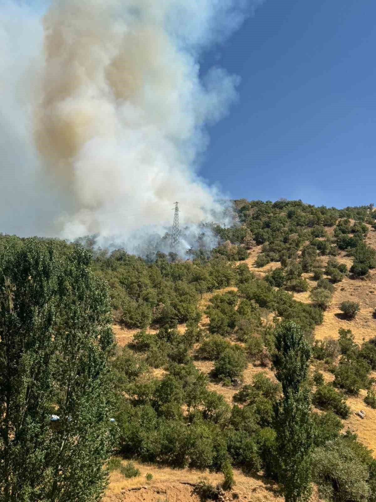 Hakkari&rsquo;deki orman yangınlarında askerler ve k&ouml;yl&uuml;ler seferber oldu
