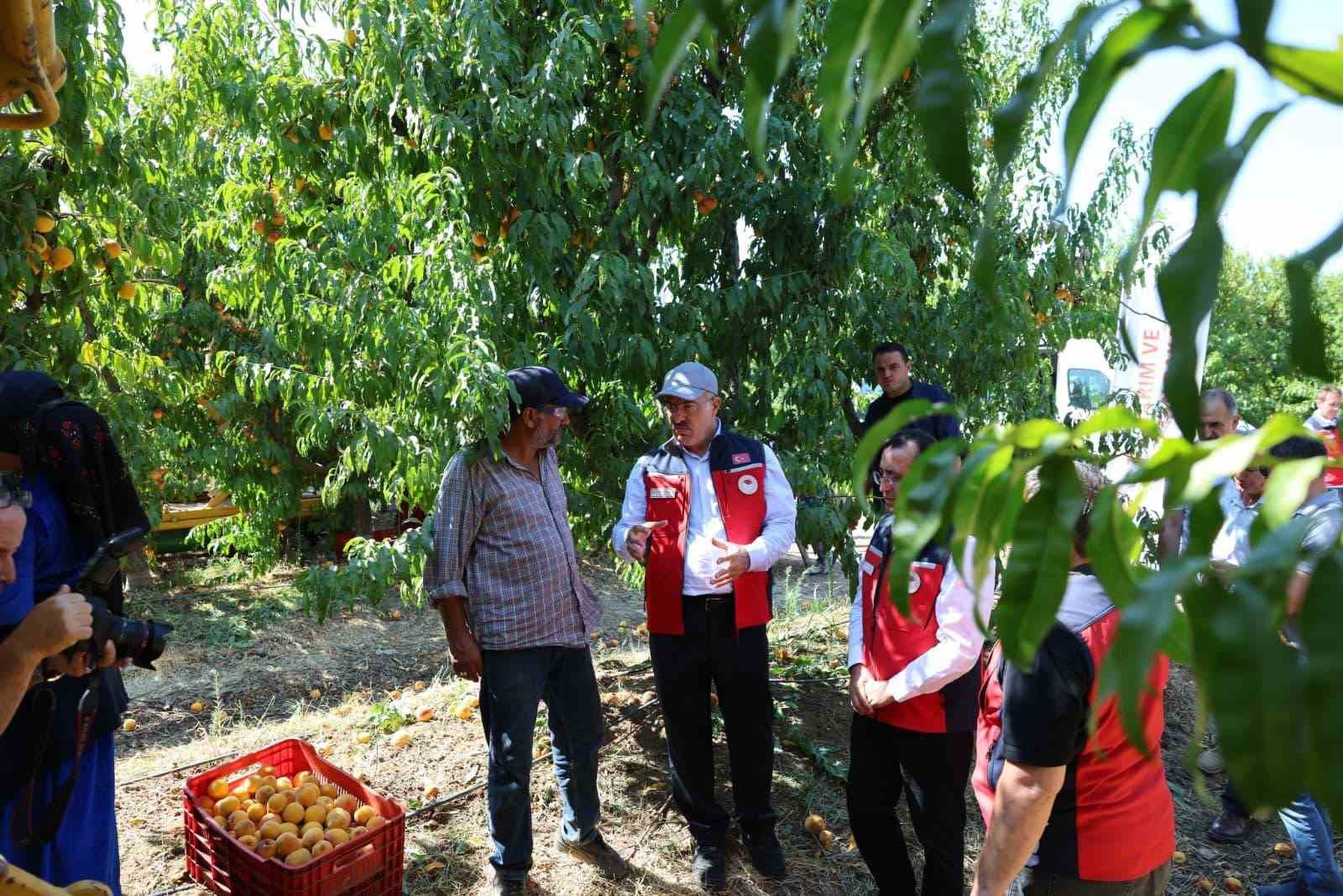 Türkiye genelinde Çanakkale, şeftali’de 2’nci nektarinde 3’üncü sırada
