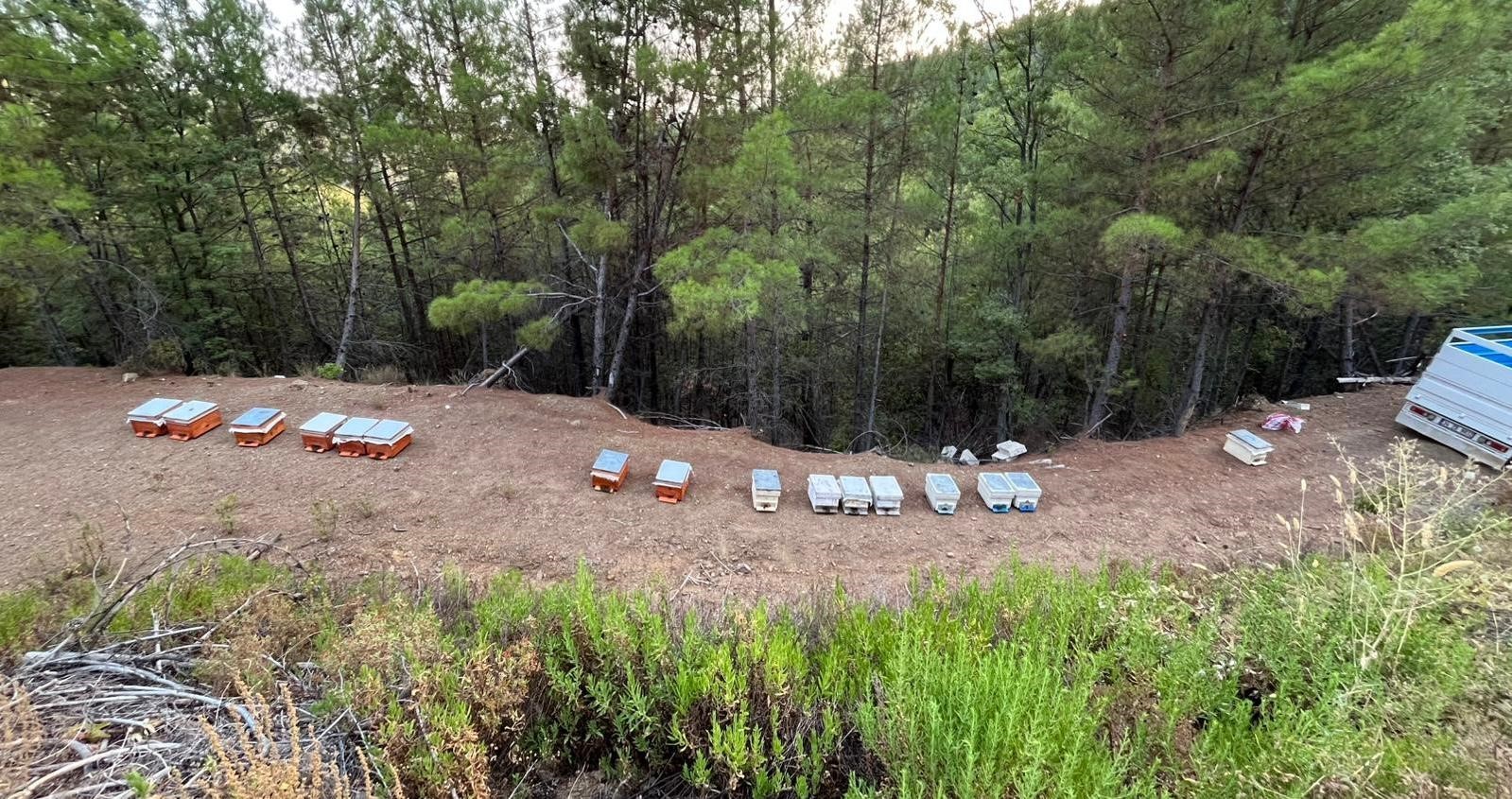 Gazipaşa&rsquo;da 36 arı kovanı &ccedil;alındı
