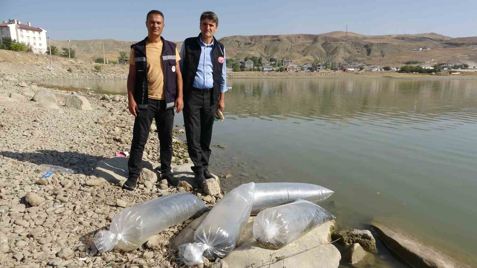 Van’daki göllere 450 bin yavru sazan bırakıldı
