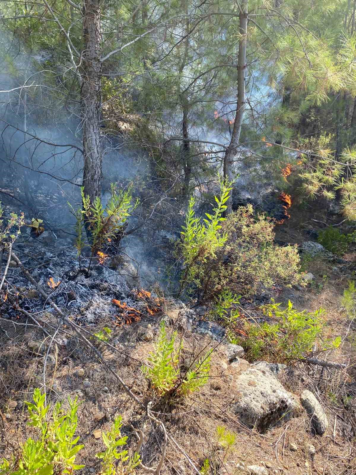 Manavgat&rsquo;ta ormanlık alanda yangın

