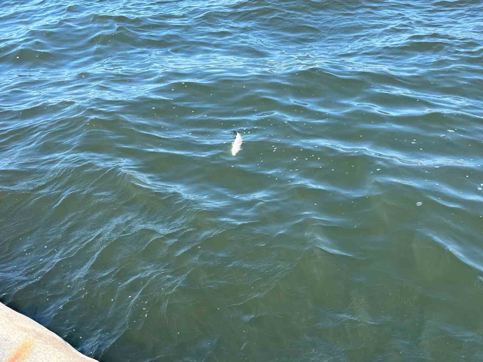 İzmir Körfezi’nin kokusu vatandaşı bezdirdi
