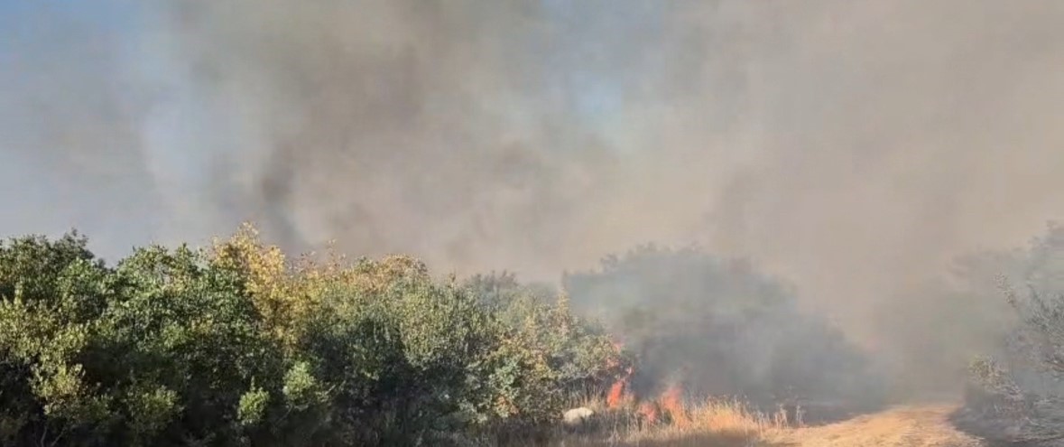 Balıkesir&rsquo;deki orman yangınına m&uuml;dahale s&uuml;r&uuml;yor
