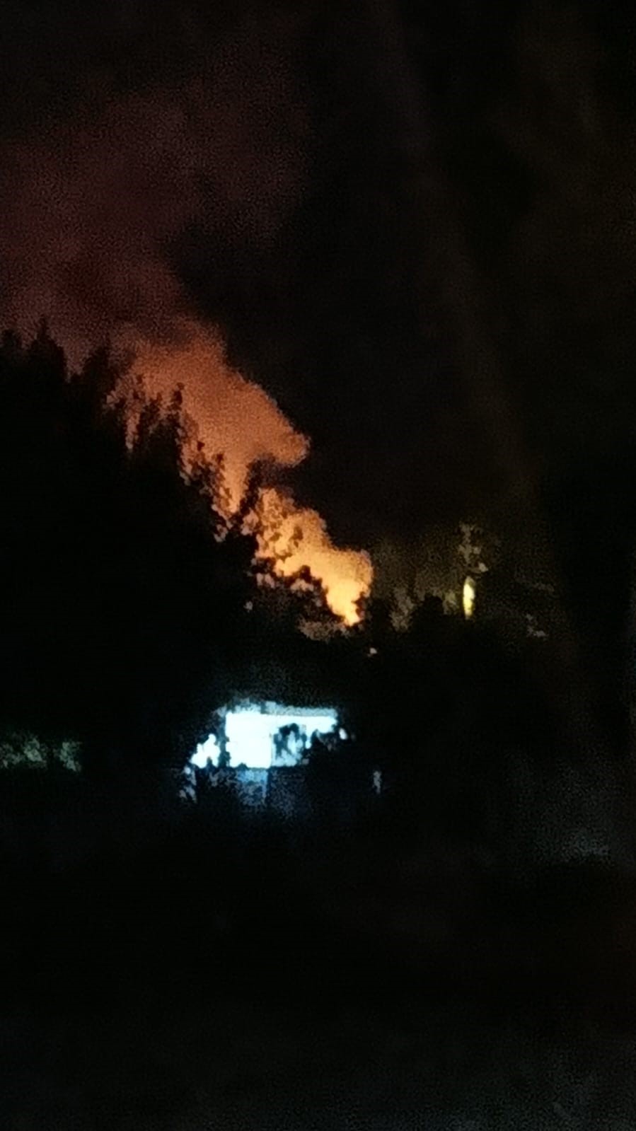 K&ouml;yceğiz&rsquo;de Orman yangını, ekiplerin hızlı m&uuml;dahalesi ile yangın kontrol altına alındı
