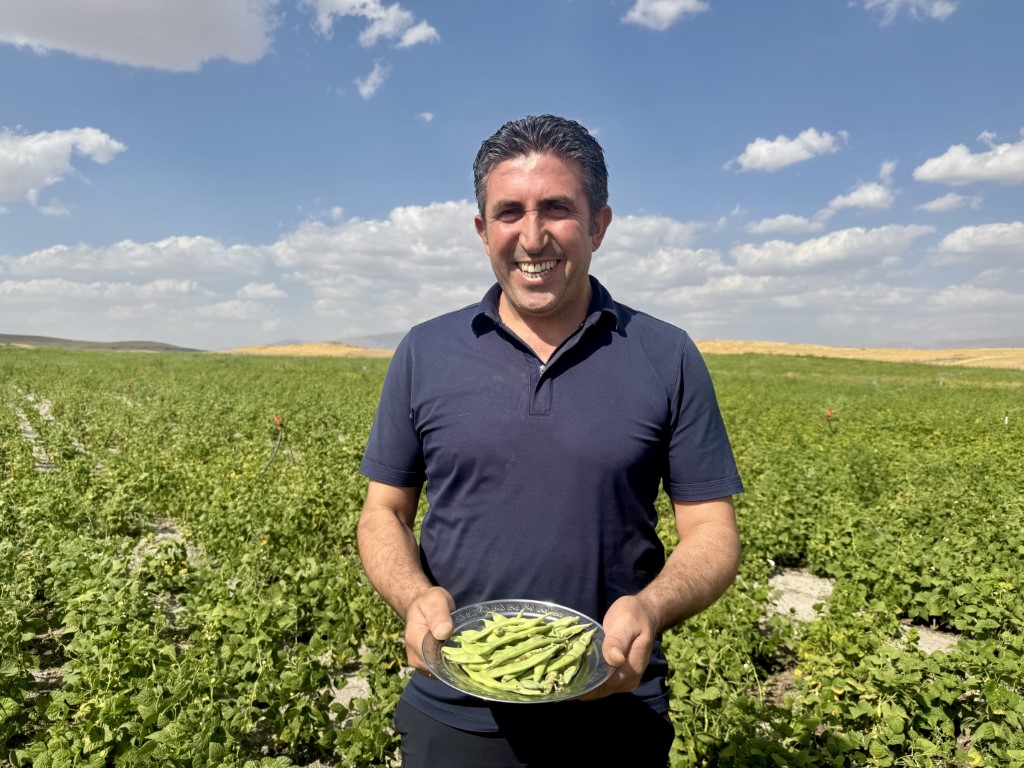 Ağrı’da yetişmez denilen fasulye, yüksek verimiyle dikkat çekti