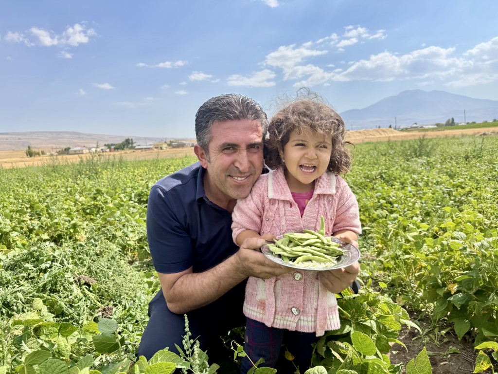 Ağrı’da yetişmez denilen fasulye, yüksek verimiyle dikkat çekti