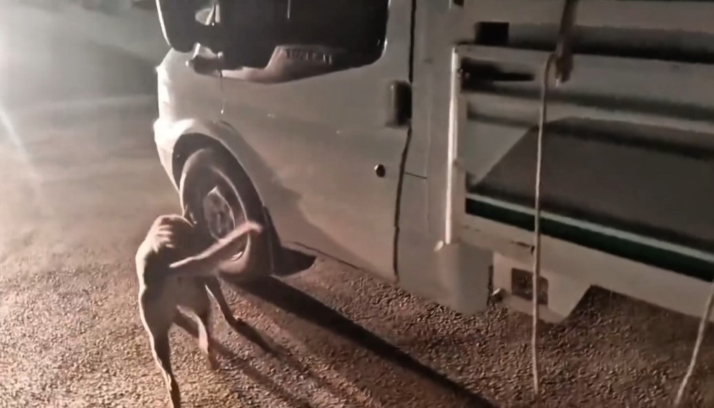 Hakk&acirc;ri&rsquo;de kamyonette 26 kilogram skunk ele ge&ccedil;irildi: 1 ş&uuml;pheli tutuklandı
