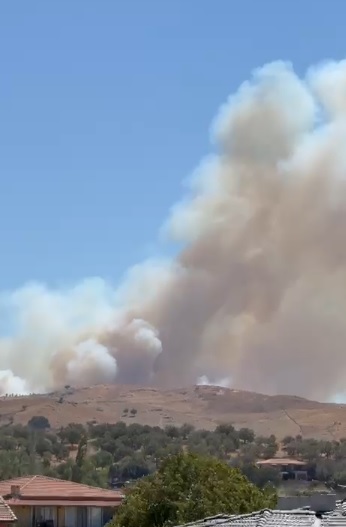 İzmir&rsquo;de ormanlık alanda yangın &ccedil;ıktı: Havadan ve karadan m&uuml;dahale başladı
